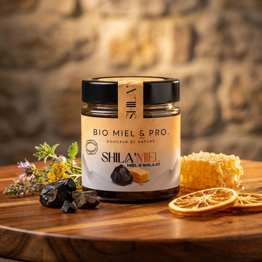 Pot mélange miel et shilajit 250g énergie vitalité naturel 